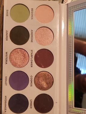 Ace Beaute Sage, Peach & Purple 10-Pan Eyeshadow Palette